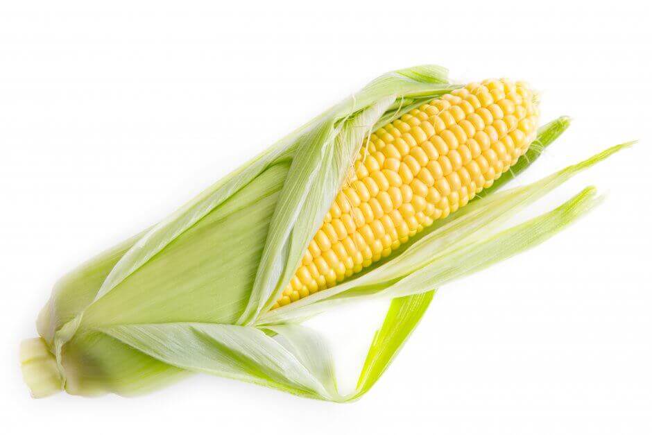 Corn Cob